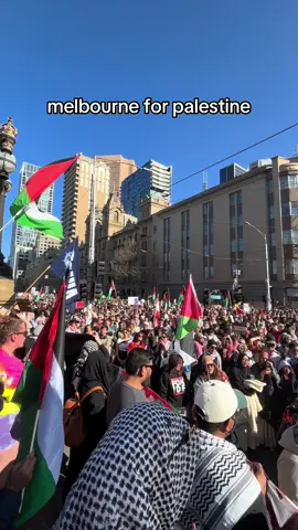over 100,000 people turned up alhamdulilah #foryou #melb #protest #palestine 