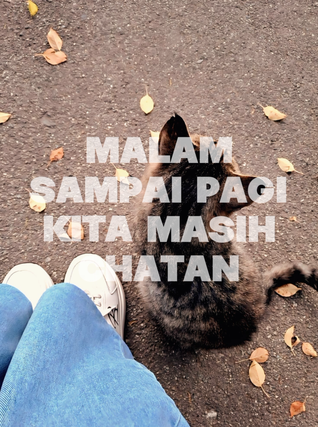 template klik logo cc >> #cumatemen #capcut #capcutpioneer #pioneertemplate 