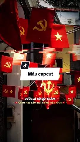 #CapCut Lá cờ đỏ phấp phới trước gió …… Tự hào Kiếp Sau Vẫn Là Người VIỆT NAM Remix #capcuth098 #nhachaymoingay #capcutsealeague #quockhanh2025 