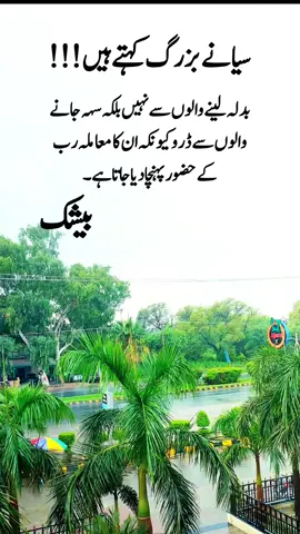 #urdupoetry #office #tranding #turelines #pakistan 