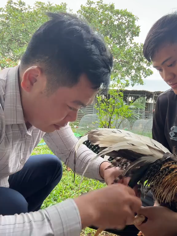 Ghé qua xóm chơi ae ơi 🥰🥰🥰#xuhuong #giaitri #vuive #vuivemoingay❤️