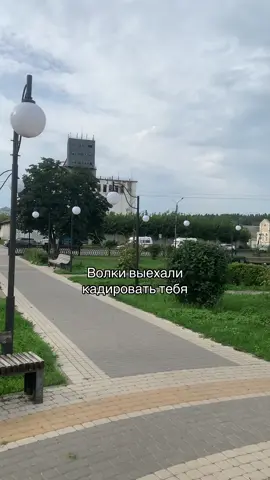 Отмечай#машаимедведь #медведь #волки🐺 #буханкауаз #мага 