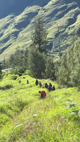 bawa aku kembali pliss😓#gunungrinjani #fyp #rinjani #jurassicpark 