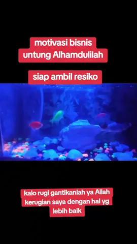 #aquariummbabunga#fypppppppppppppppppppppp #semuaorang #padahariini #