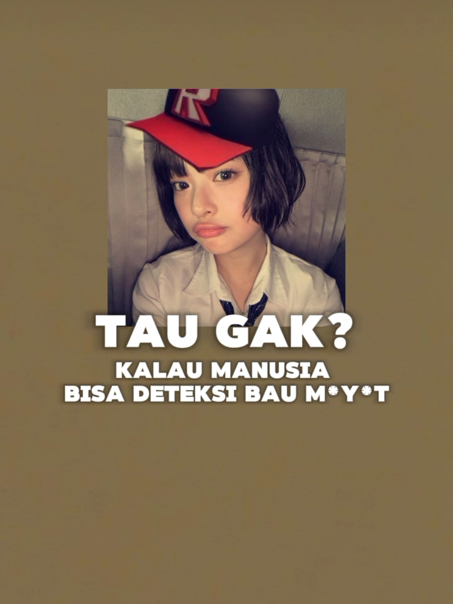 ini salah satu alasannya buang/sembunyiin m*y*t ga segampang yang dikira, soalnya kita peka banget sama bau kek itu #pendidikan #edukasi #faktaunik #faktamenarik #fakta 