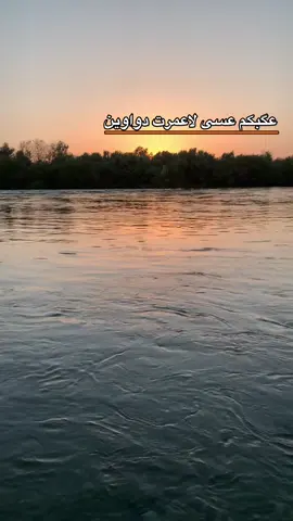 #مواويل #تصويري📸 #النمرود_ديار_جبور🇮🇶🦅 #الشعب_الصيني_ماله_حل😂😂 