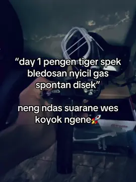 wes mboh#fyp #fypage #tigergank🤙 #herexlampungnibos🤩🏁 #herexlampungtimur🏁 #lewatberandafyp #fyppppppppppppppppppppppp 