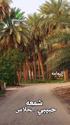 حسين جاسم حبيبي شمعه الجلاس #برج #الخرج #علىالمعيلي#الخرج 