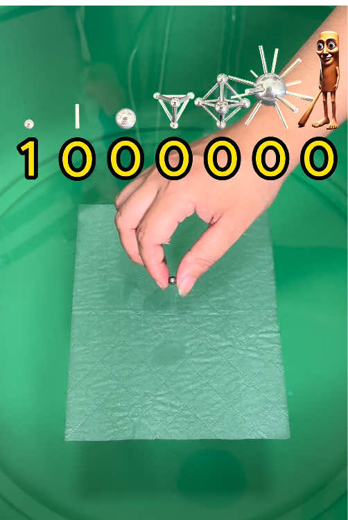 Guess which item uses the most toilet paper? #experiment #asmr 