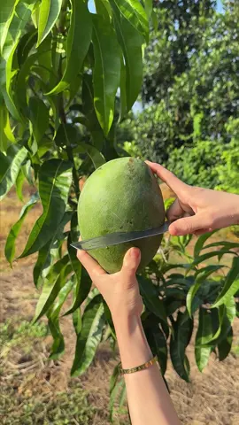 #cut #asmr #fruit #fruits #mango 