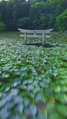 あなたの行ってみたい県はどこですか？✈️ Japan has beautiful nature, shrines, and traditional streets. Would you like to come and see the magnificent scenery of Japan?  ⛰ 長野 / Nagano 	•	戸隠神社 / Togakushi Shrine 	•	奈良井宿 / Narai-juku 	•	上高地 / Kamikōchi 🏙 東京 / Tokyo 	•	浅草寺 / Sensō-ji Temple 	•	渋谷スクランブル交差点 / Shibuya Scramble Crossing 	•	渋谷駅 / Shibuya Station 🌸 福岡 / Fukuoka 	•	中山の大藤 / Nakayama Wisteria 	•	サイバー神社 / Cyber Shrine 	•	高住神社 / Takazumi Shrine 🦌 奈良 / Nara 	•	長谷寺 / Hasedera Temple 	•	宝山寺 / Hōzan-ji Temple 	•	室生寺 / Murō-ji Temple 🏞 福島 / Fukushima 	•	大川荘 / Ōkawaso Ryokan 	•	大内宿 / Ōuchi-juku 	•	さざえ堂 / Sazaedō Temple ⛩ 広島 / Hiroshima 	•	厳島神社 / Itsukushima Shrine 	•	宮島 / Miyajima Island 	•	耕三寺 / Kōsan-ji Temple 🏯 愛知 / Aichi 	•	清洲城 / Kiyosu Castle 	•	スカイガーデン / Sky Garden 	•	知多の竹林 / Chita Bamboo Forest 🍁 京都 / Kyoto 	•	常照皇寺 / Jōshōkō-ji Temple 	•	貴船神社 / Kifune Shrine 	•	二年坂 / Ninenzaka Street 🐉 兵庫 / Hyōgo 	•	但馬大仏 / Tajima Daibutsu 	•	南京町 / Nankinmachi (Chinatown) 	•	高源寺 / Kōgen-ji Temple 🌊 山口 / Yamaguchi 	•	角島大橋 / Tsunoshima Bridge 	•	東光寺 / Tōkō-ji Temple 	•	惣郷川橋梁 / Sōgōgawa Bridge 🎥 Reel → @reo___film #日本の風景 #japantravel   