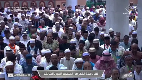 تلاوة تحبيرية خاشعة من سورة المائدة صلاة الفجر اليوم 1 ربيع الأول 1447هـ #عبدالله_القرافي #قران_كريم #قران #صلي_على_النبي #اكتب_شي_توجر_عليه 