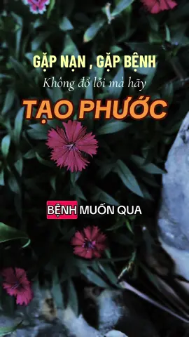 Gặp hoành nạn thay vì oán trách hãy tạo và tích phước #ngộđểan #phatphapnhiemmau #xuhuongtiktok #fyp #LearnOnTikTok 