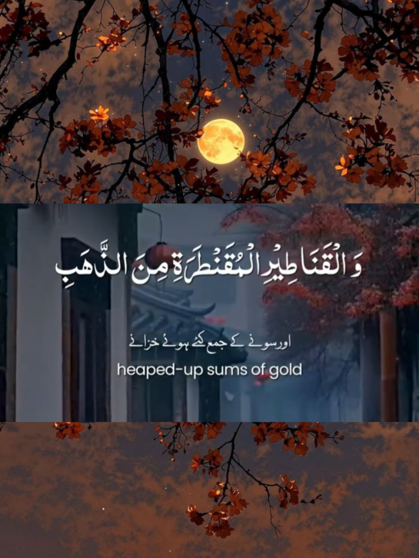 #creatorsearchinsights #Quran #islamic_video #viral #fyp 