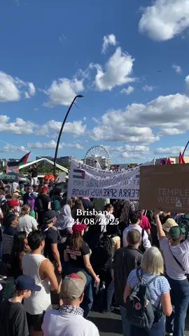 🇵🇸✌🏻 #brisbane #protest #freepalestine #palestine 