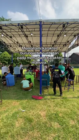 ra ngandel jajalen🫵 #kicaumania #lombaburung #storykicaumania 