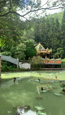 Không gian yên bình ở chùa linh sơn bữu thiền tự #nuithivai #xuhuong #typ #chill 