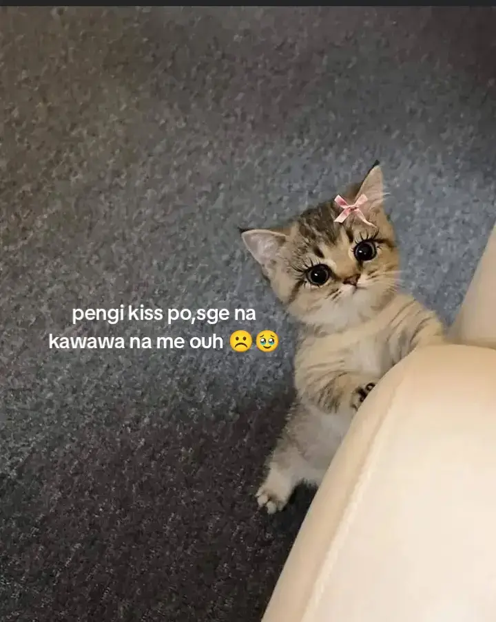 #fypage  #repost  #viral  #foryou  #kiss 
