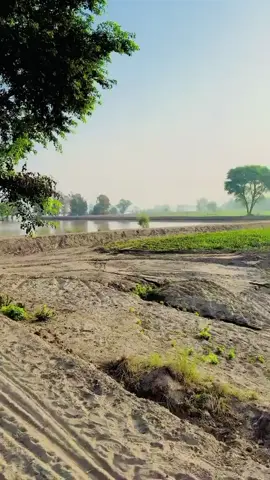 Bahawalpur 