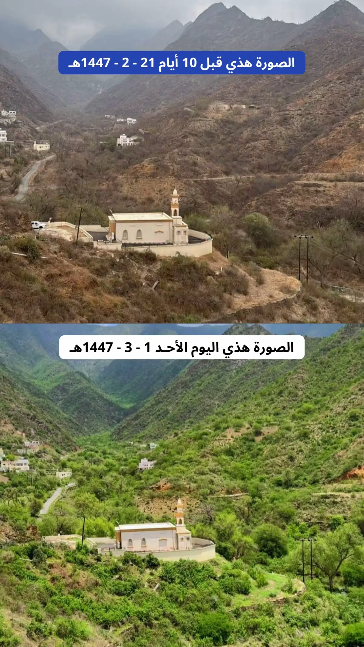 #رجال_المع #امطار #ترند #ابها 