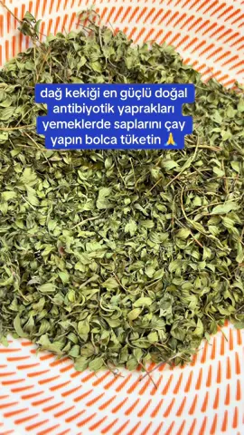 Dağ kekiği en güçlü doğal antibiyotiktir🙏#kekik 