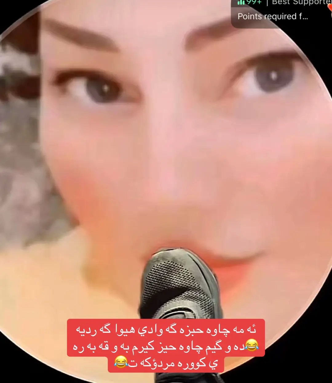 #slemani_hawler_dhok_kerkuk_text 