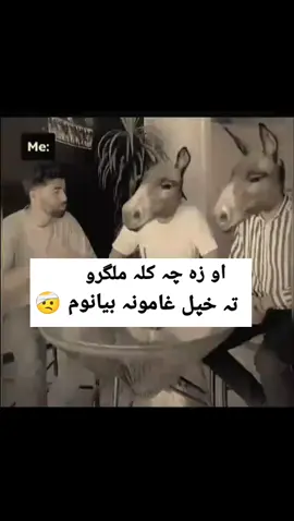 #plzsupport #plzviral🤣🤣 