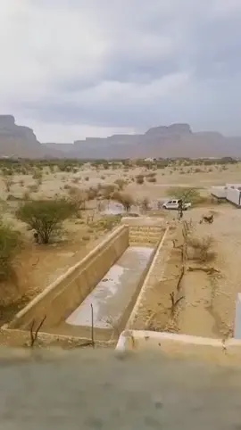 دهر /الخر