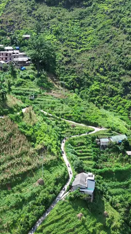 Số 1 leo dốc dài nhất Việt Nam😜😝😜#xuhuong #xuhuongtiktok #vietnam #Flycam #viralditiktok 