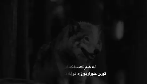 #talo_rash #foryou 