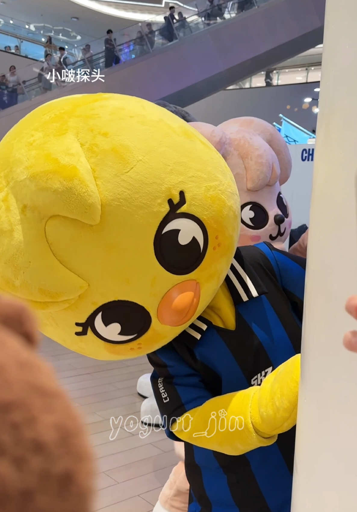 宝宝你是一只成功的小啵（被亲了10次版🐥🐥 #필릭스 #felix #스키즈 #skzoo 