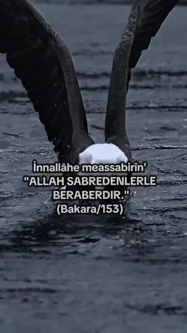 İnnallâhe meassabirîn' 