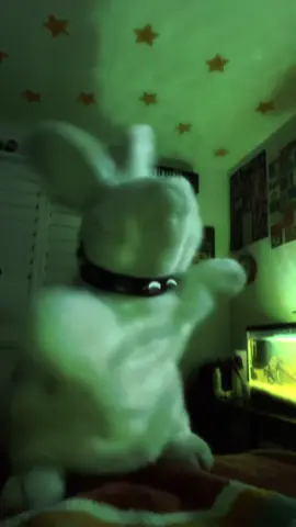 hypnotize - system of a down  ★ #bunny #puppet #soad #metal #numetal #bunnypuppet 