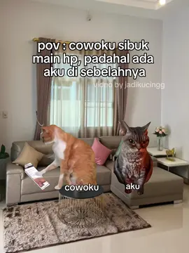 KEKK LIAT APAA SII?????? #memekucing #catmeme #memestiktok #viraltiktok #masukberanda #fyppppppppppppppppppppppp #4u #foryou #xybca 