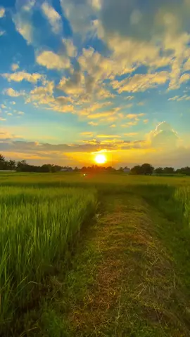 ตำแหน่งคนน่ารำคาญอ้ายจอง.. #รับโปรโมทเพลง #วิวบ้านนอก🍃 #ท้องฟ้า⛅🌈 #สตอรี่ความรู้สึก 