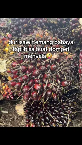 🔥🌴#sawitontiktok #fyp #masukberanda #storysawit🌴🌴 #sawitriau 