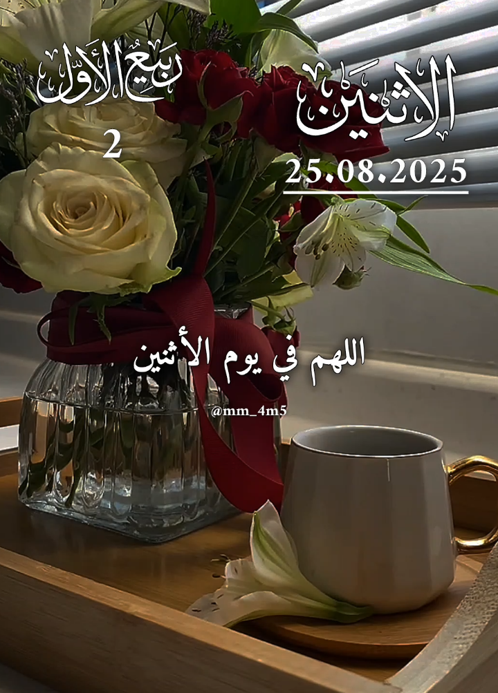 دعاء يوم الاثنين 25.8.2025 🤍 دعاء اليوم الثاني من شهر ربيع الاول 🤍  #دعاء #ادعية_اسلامية_تريح_القلب #اللهم_صلي_على_نبينا_محمد #يوم_الاثنين #اللهم_امين_يارب_العالمين 