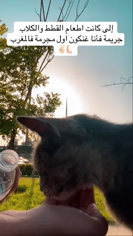 #fypppppppppppppppppppppppppppppp #morocco🇲🇦 #animals 