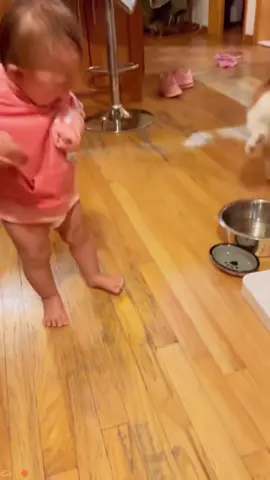 Is the cat re-educating the child? #cat #catsoftiktok #catlover #funny #funnyvideos #foryou #fypage #fypツ #funnycat #funnytiktok #cats