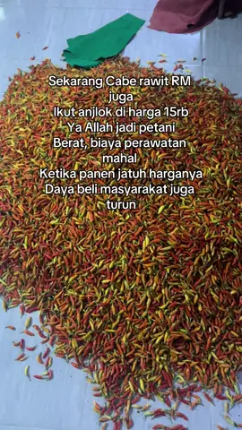 Kenapa sekarang gini yaa ekonomi Indonesia 