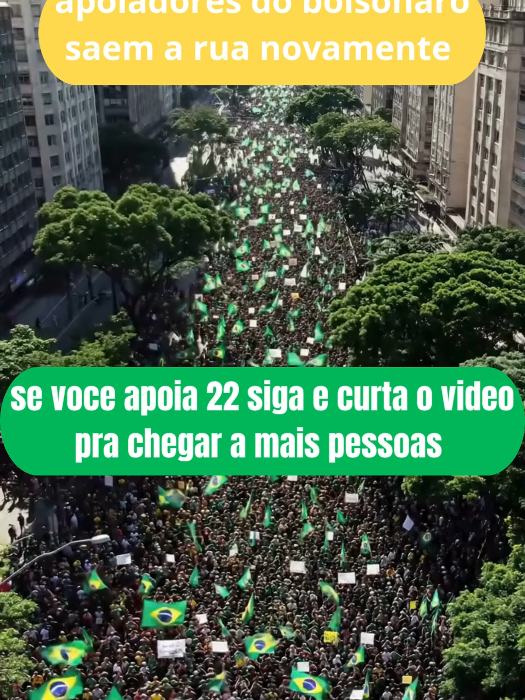apoiadores do bolsonaro saem a rua novamente #bolsonaro #bolsonaro22 #presidente #viraltiktok #brasil