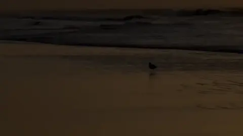 ទោះបីយ៉ាងណាក៏បងនៅចាំ