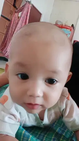 Lewat dulu si botak kami ini ya gaes🤣🤣