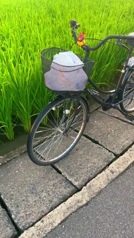 Awak isek neng jepang pikiran wes manasi rx king style medan 🤣🇯🇵#kensusei🇮🇩🇯🇵 