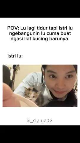 aku nak jadi kucing #intanjkt48 #fyppppppppppppppppppppppp #intanjkt48gen13 #memejkt48