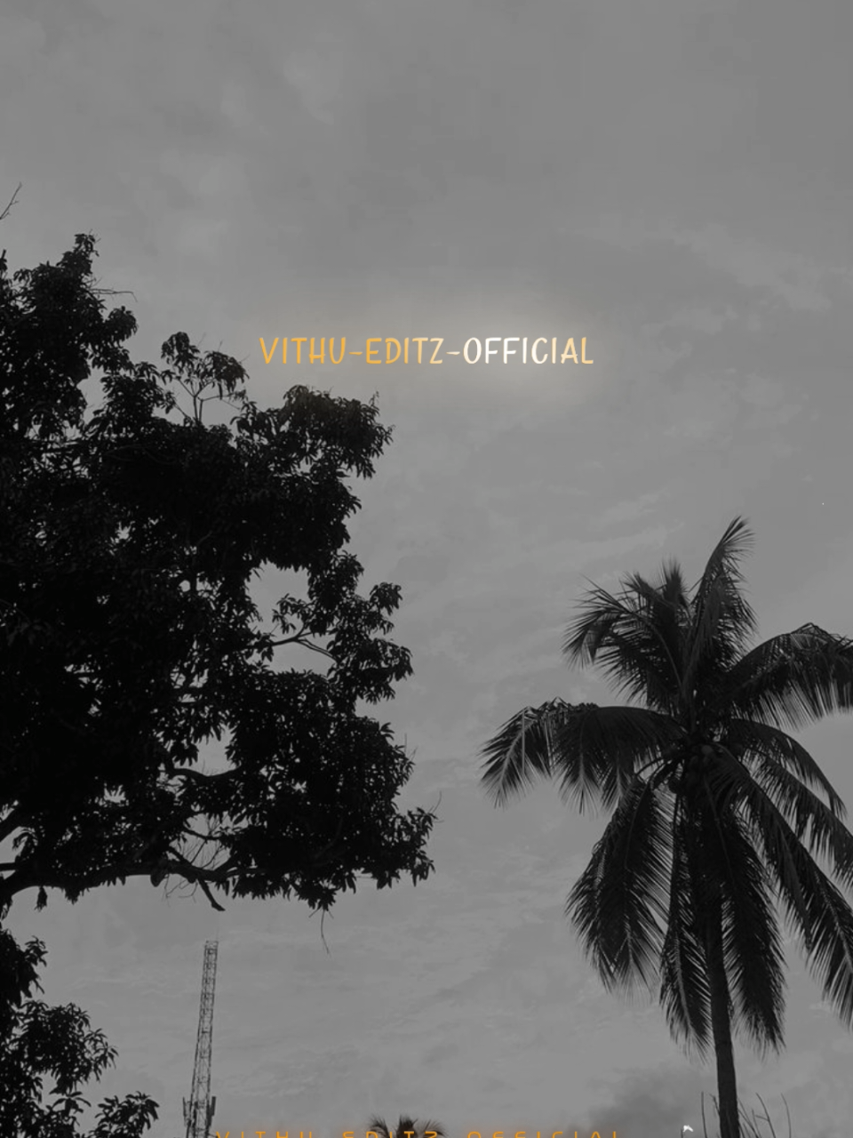 ❤️‍🩹🎧💯 #Vithu_Editz_Official #lriycsvideo #followandsupport🙏❤ #tqforwatching #tamilsong 