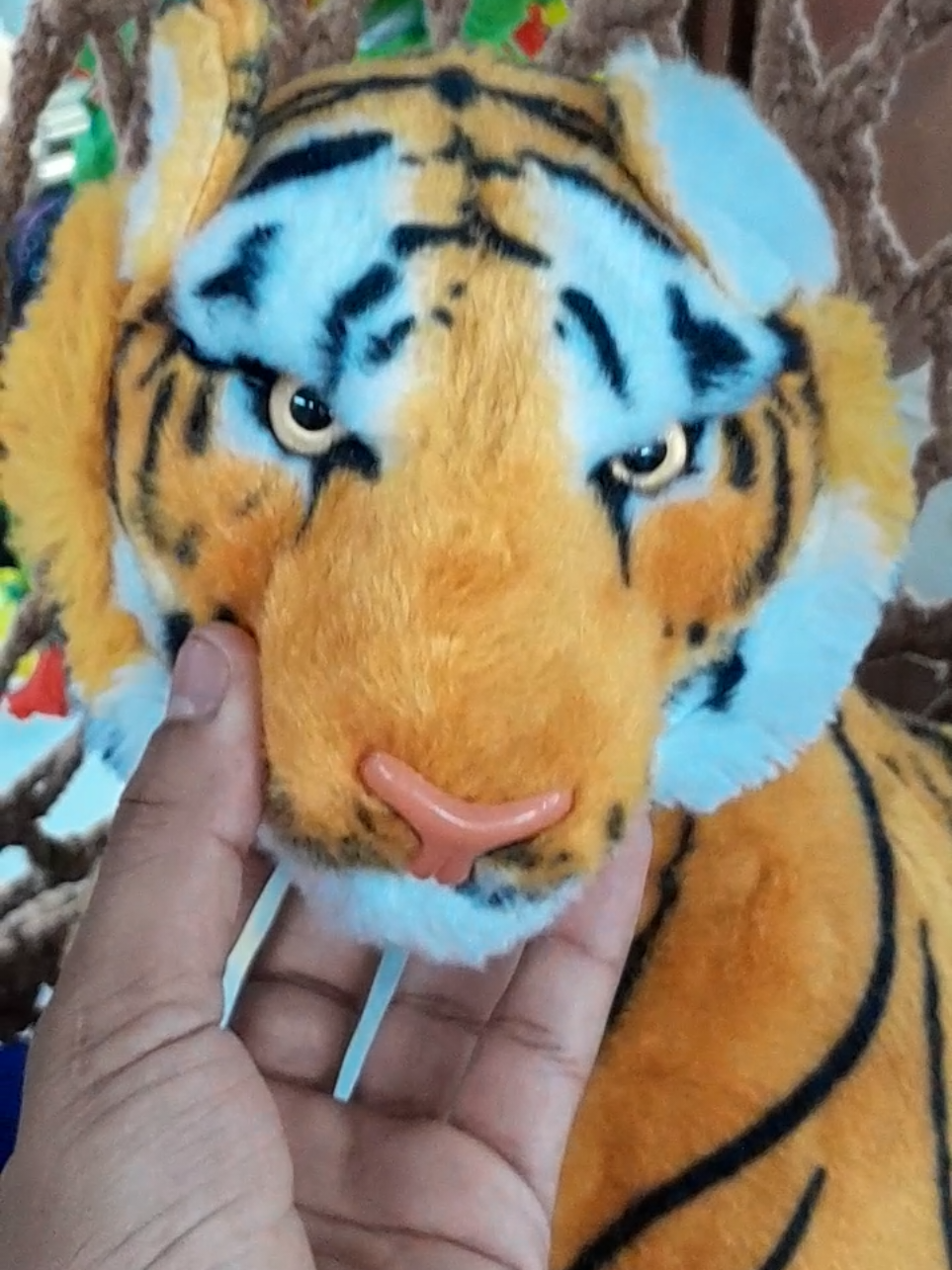 #🐆🐅🐆🐅🐆🐅 @Russll 