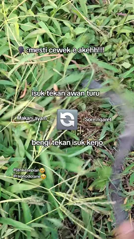 Jeneng e kehidupan 🥹 #sobatngarit #peternakmuda  #peternakmudaindonesia #peternakayam #kambingjawa 