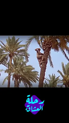 مرحبا مولد المصطفي 🩷 اللهم صلي علي سيدنا محمد واله وسلم تسليما 🩷🩷🩷 #جابر_البغدادى #الحبيب_علي_الجفري #مديح_سوداني #مديح #سيدنا_محمد_رسول_الله #المدينة_المنوره #المدينة_المنورة_الآن @ودالكباشي @مدح الحبيب المصطفى 🥰💕📿 @الركابي ابونعمه✊🇸🇩🫡(الطائف) @الطريقة القادرية المكاشفية 