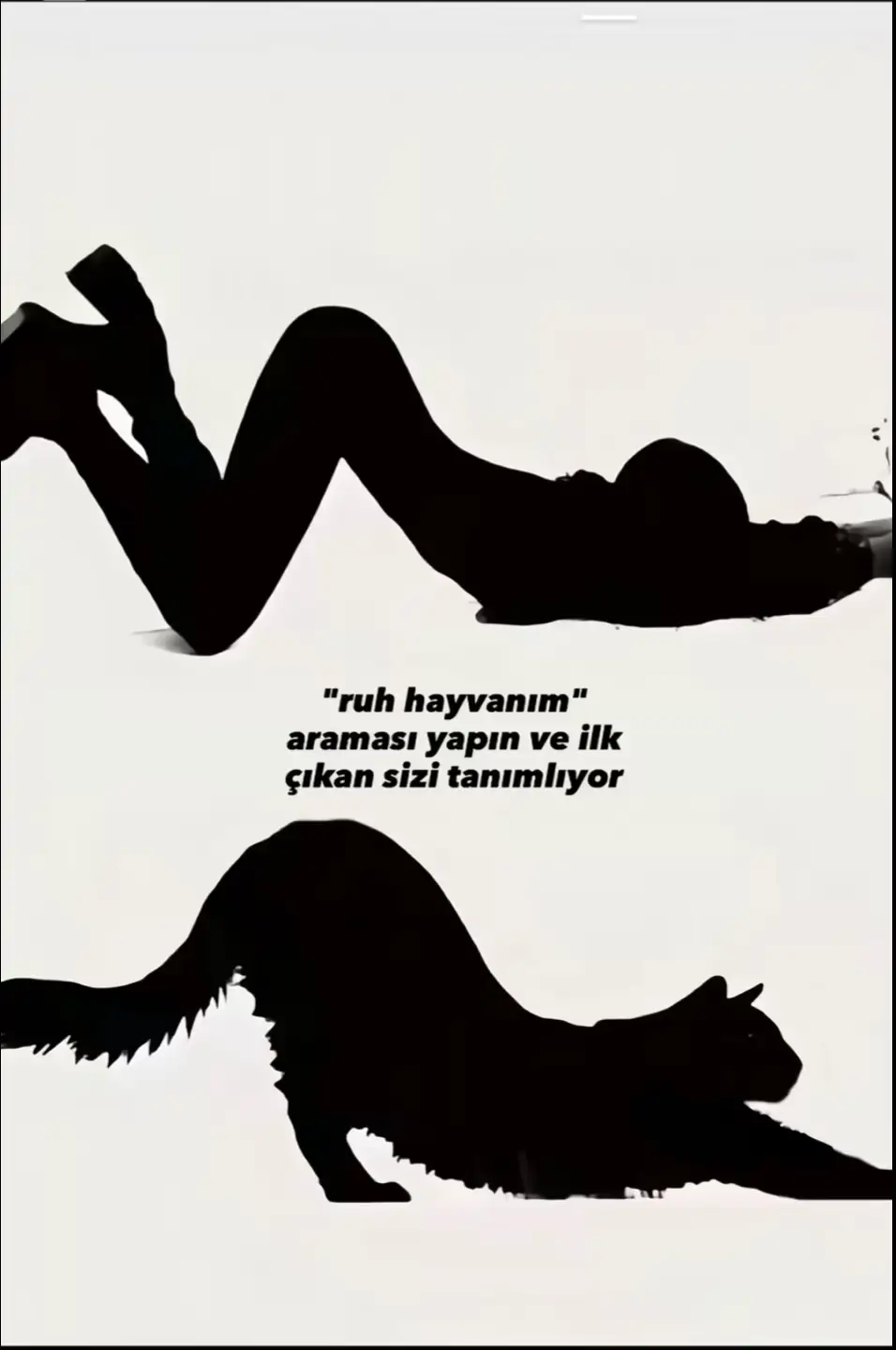 #ruhhayvanım #jaguar #fyppppppppppppppppppppppp #black 